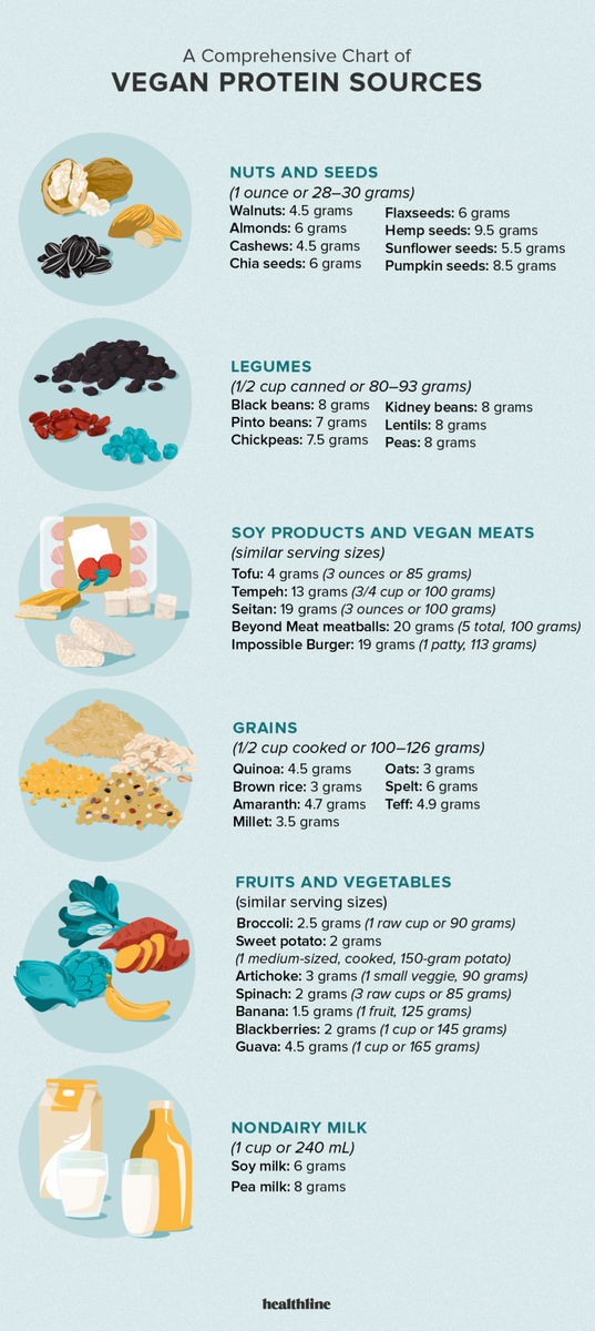 A Comprehensive Chart Of Vegan Protein Sources Plant Based High Protein Foods Reference Chart In Illustrator PDF Download Template