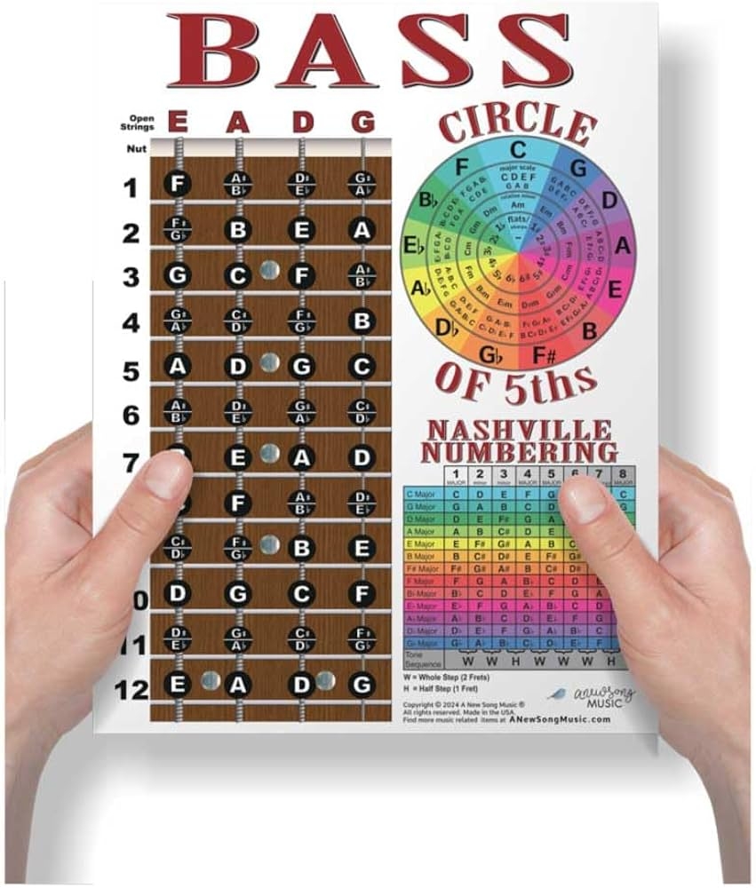 Amazon A New Song Music Laminated 4 String Bass Fretboard Notes Chart Nashville Number System Circle Of 5ths Easy Instructional Poster For Beginner For Notebook 8 5 X 11