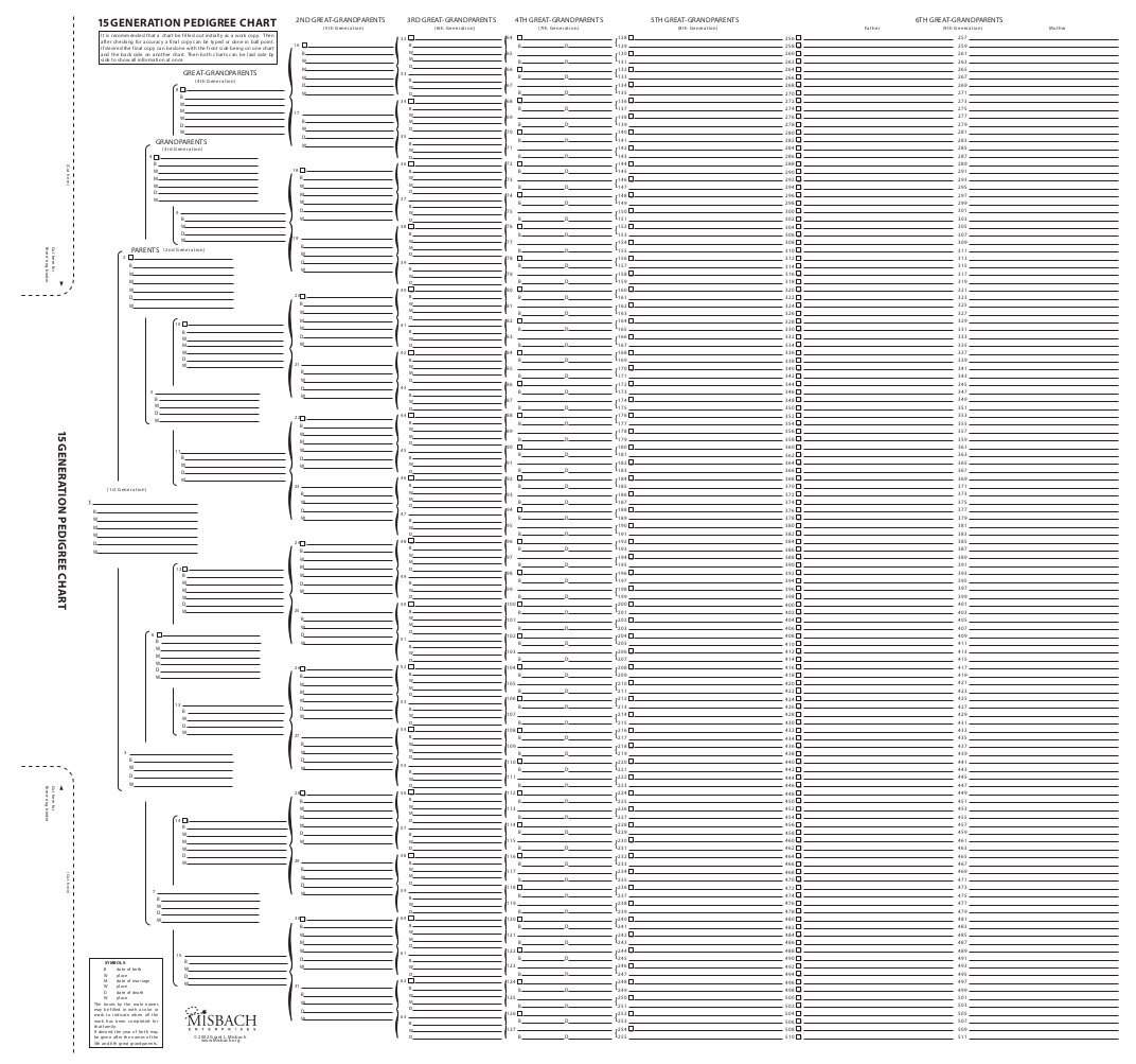 Amazon TreeSeek 15 Generation Pedigree Chart Blank Genealogy Forms For Family History And Ancestry Work Office Products Amazon TreeSeek 15 Generation Pedigree Chart Blank Genealogy Forms For Family History And Ancestry Work Office Products