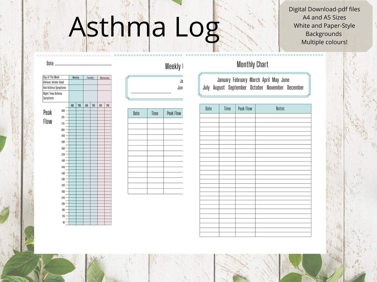 Asthma Peak Flow Log Peak Flow Tracker Medical Chart Medical Planner Digital Download Etsy