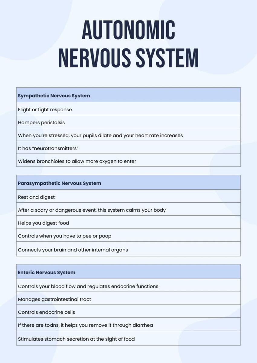 Autonomic Nervous System Chart In Illustrator PDF Download Template Autonomic Nervous System ANS Etsy