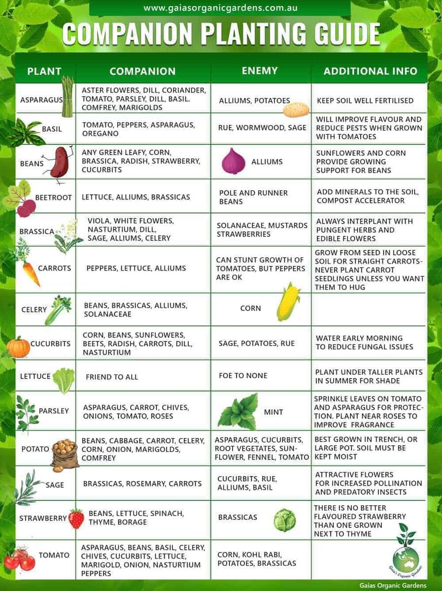 Collection Of Companion Planting Charts Guides And PDFs World Water Reserve