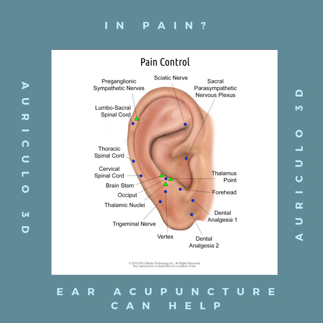 Ear Seed Chart Statistical Chart Resources Ear Seed Chart Statistical Chart Resources