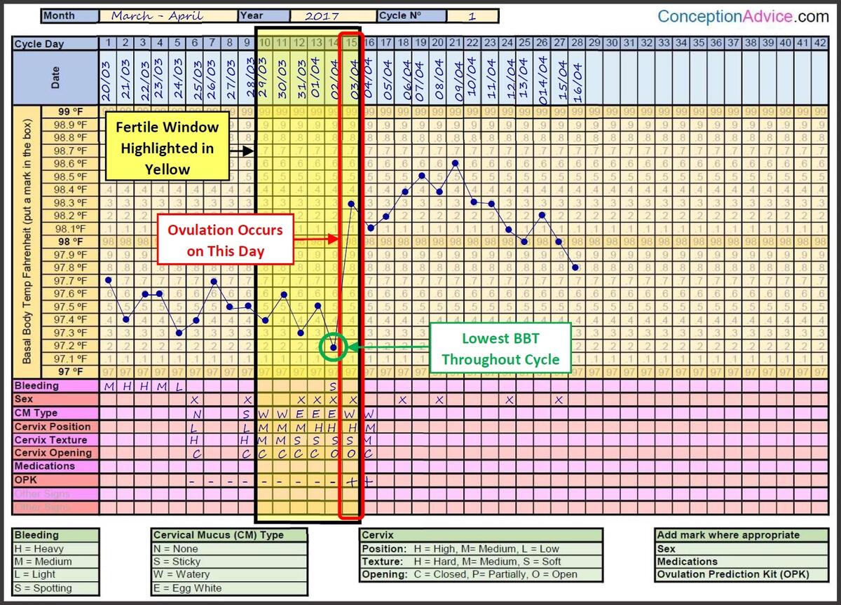 Fertility Charting Fertile Window Calculator Conception Advice Fertility Charting Fertile Window Calculator Conception Advice
