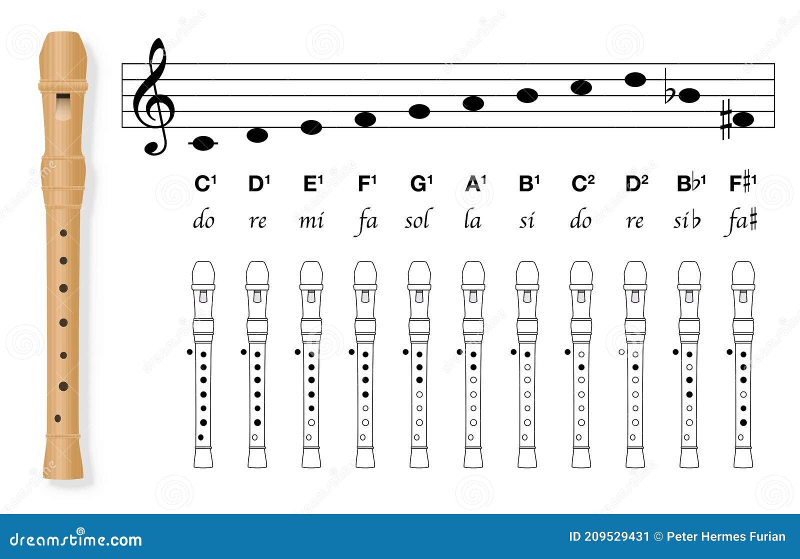 Fingering Chart Recorder Basic Covered Holes Tuned In C Music Chart Stock Vector Illustration Of Learning Instrument 209529431