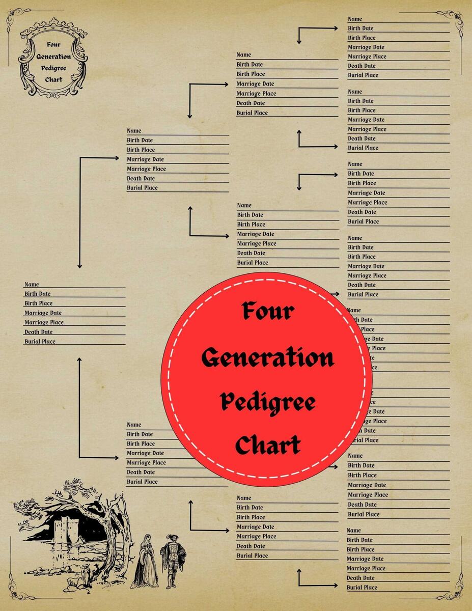 Four Generation Pedigree Chart Printable Editable PDF Etsy