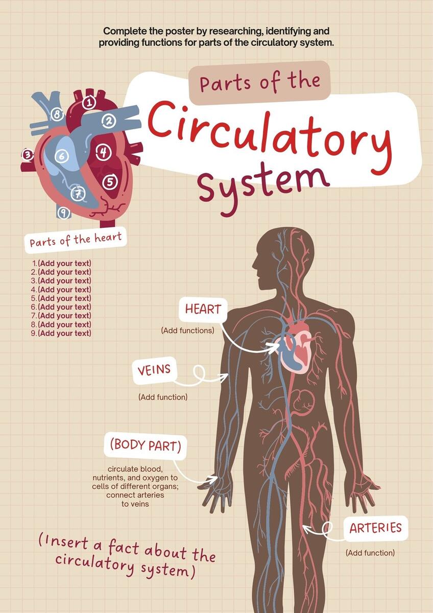 Free Editable Printable Anatomy Poster Templates Canva
