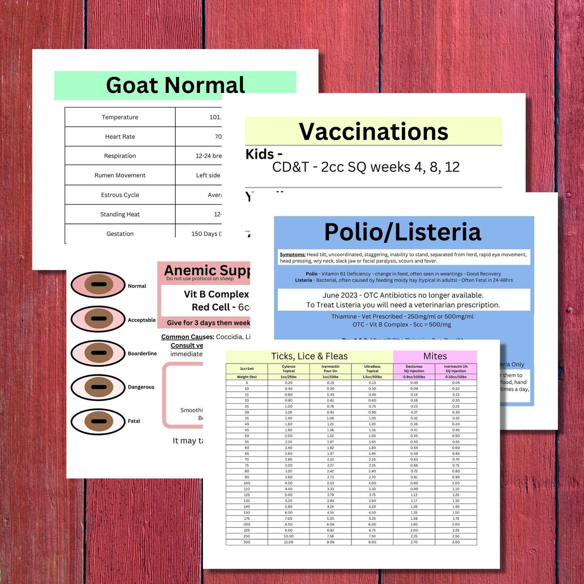 Goat Health Quick Charts Dewormer Antibiotics FAMACHA PDF Etsy Israel