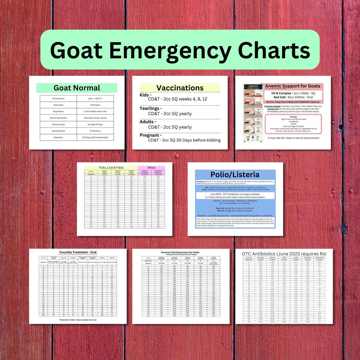 Goat Health Quick Charts Dewormer Antibiotics FAMACHA PDF Etsy Israel