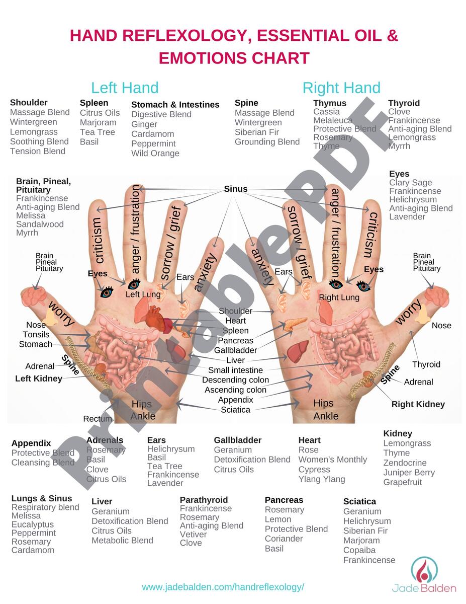 Hand Reflexology Charts