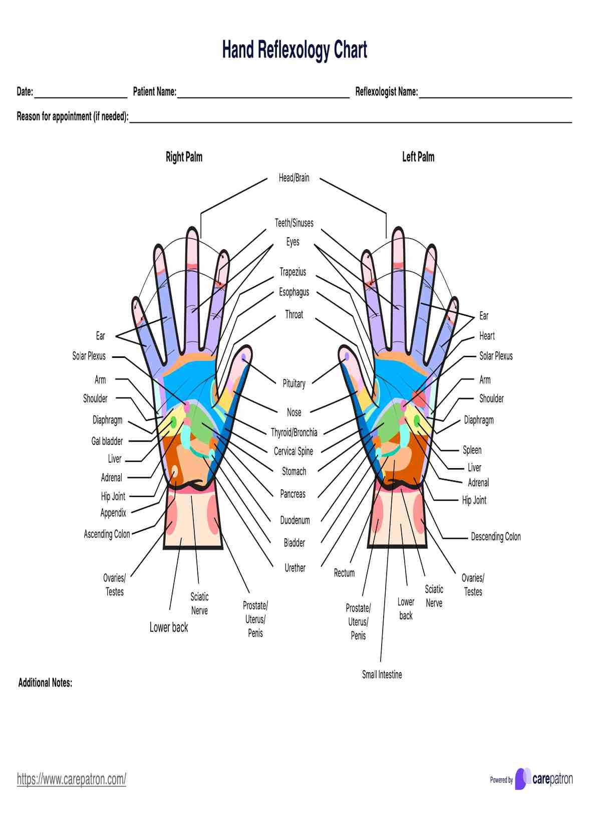 Hand Reflexology Charts