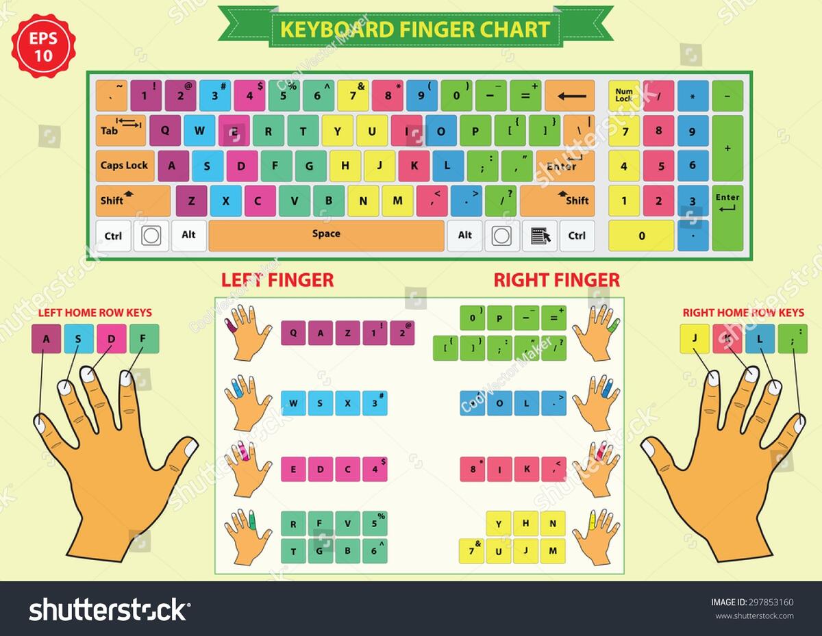 Keyboard Finger Chart Left Right Finger Stock Vector Royalty Free 297853160 Shutterstock