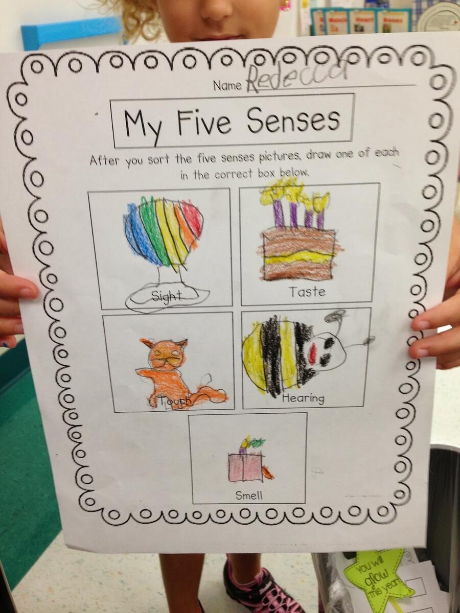 Kindergarten Smiles Five Senses Kindergarten Smiles Five Senses