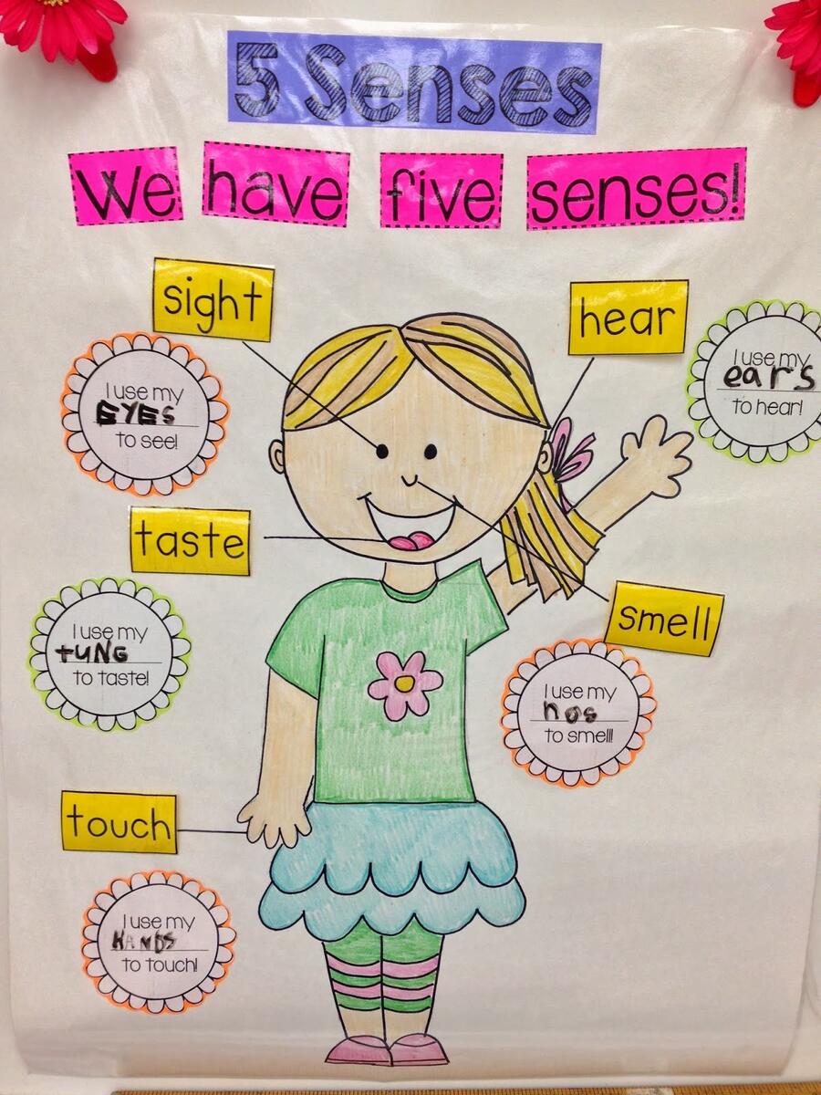 Kindergarten Smiles Five Senses Kindergarten Smiles Five Senses