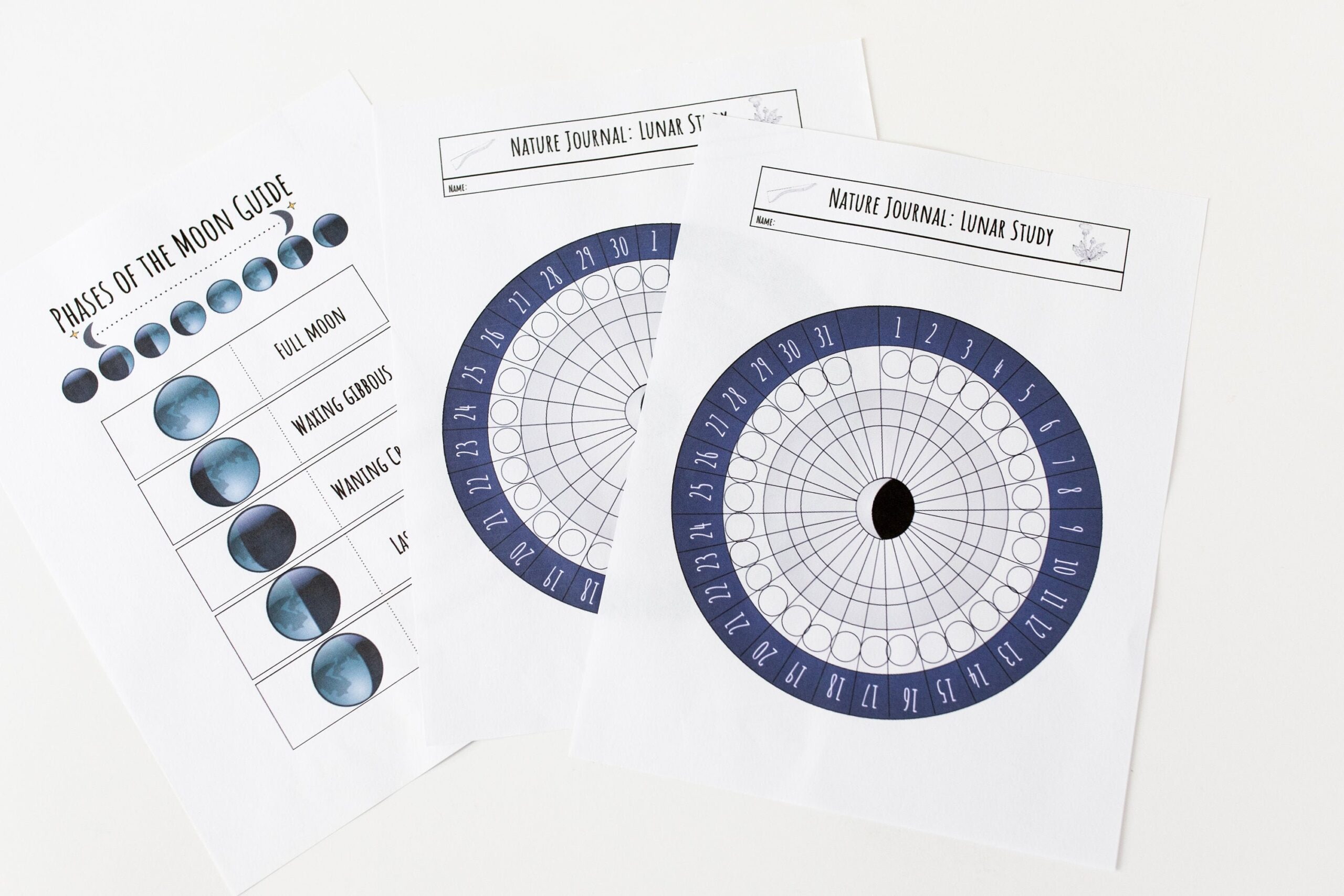 Lunar Phenology Wheel And Free Moon Phase Guide Insert For Bullet Or Nature Journal Instant Download Printable Etsy Lunar Phenology Wheel And Free Moon Phase Guide Insert For Bullet Or Nature Journal Instant Download Printable Etsy