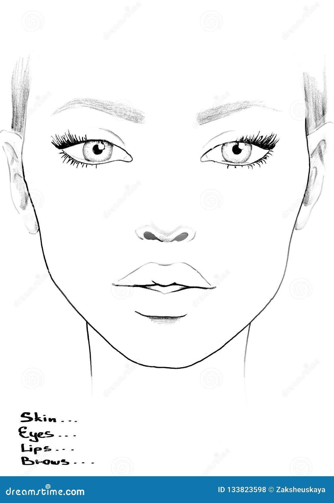 Makeup Artist Face Chart Stock Illustrations 313 Makeup Artist Face Chart Stock Illustrations Vectors Clipart Dreamstime