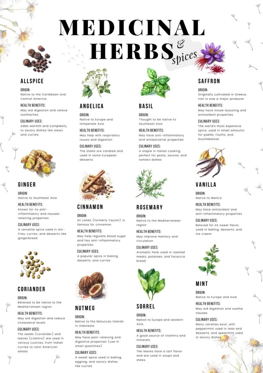 Medicinal Herbs Reference Chart List Of Herbs Printable Herbal Printable Herb Chart Common Herbs Reference Sheet Herbalism Printable Etsy