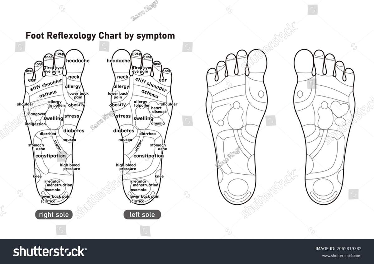 Monochrome Illustration Sole Reflex Zone By Stock Vector Royalty Free 2065819382 Shutterstock Monochrome Illustration Sole Reflex Zone By Stock Vector Royalty Free 2065819382 Shutterstock