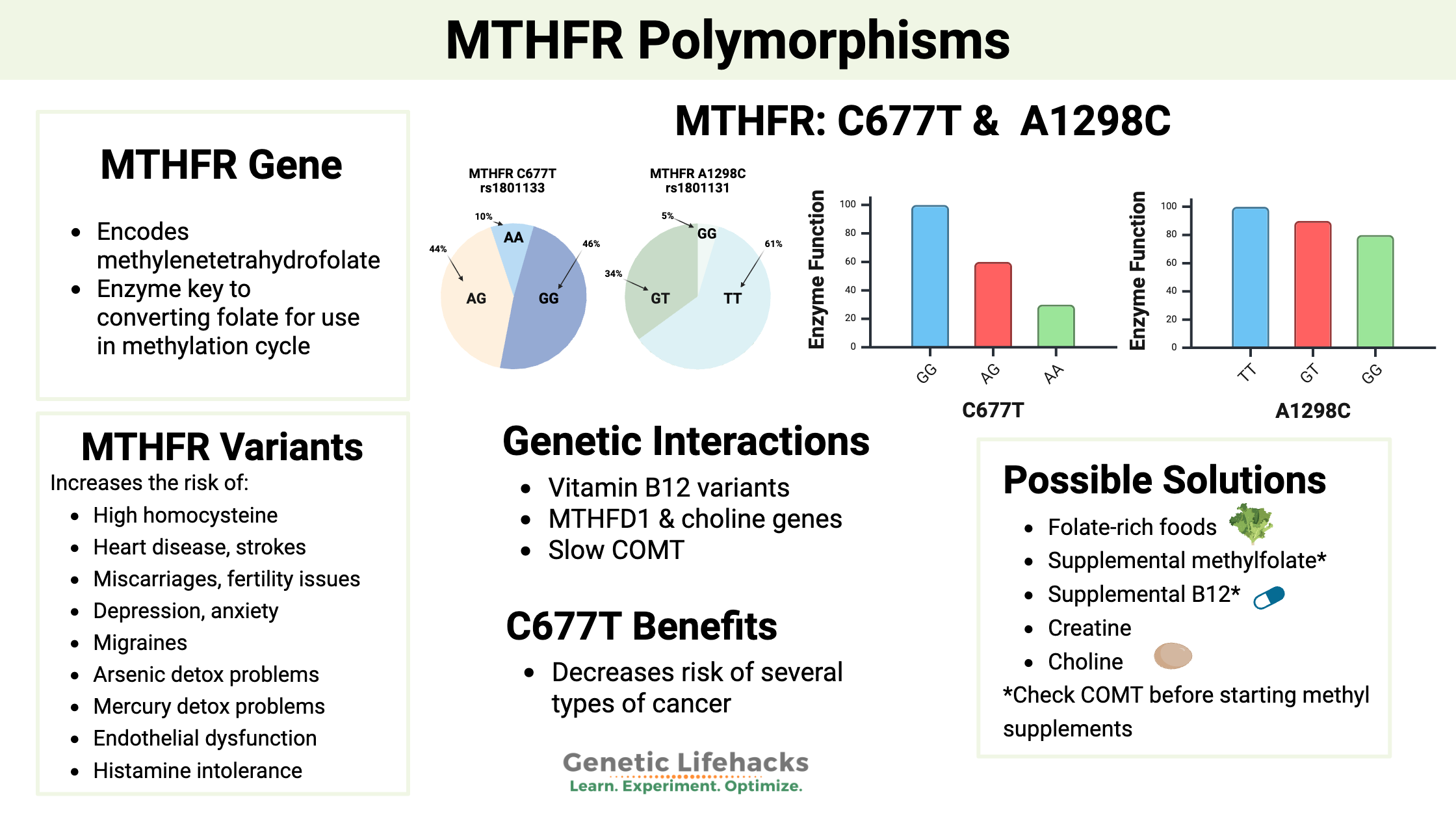 MTHFR Mutation What Is It How To Check Your Raw Data