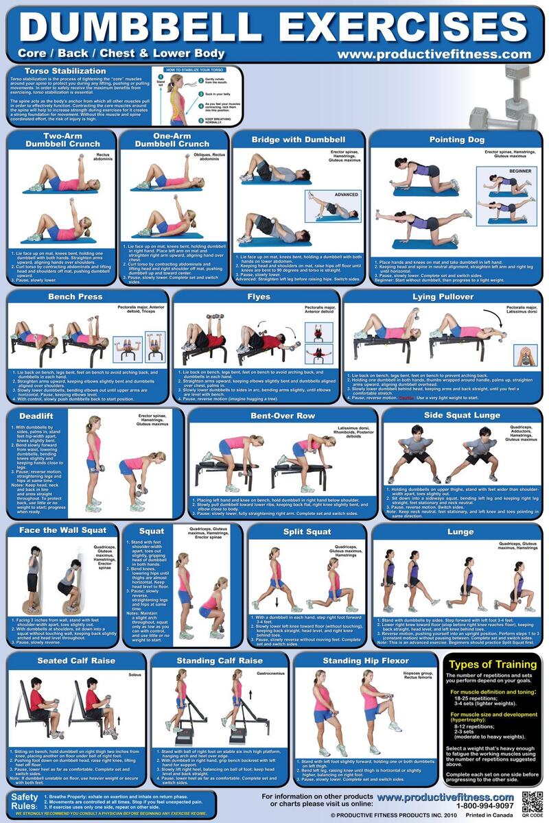 Pdf Dumbbell Workout Bench Workout Chart Full Body Workout With Bench And Dumbbells Dumbbell