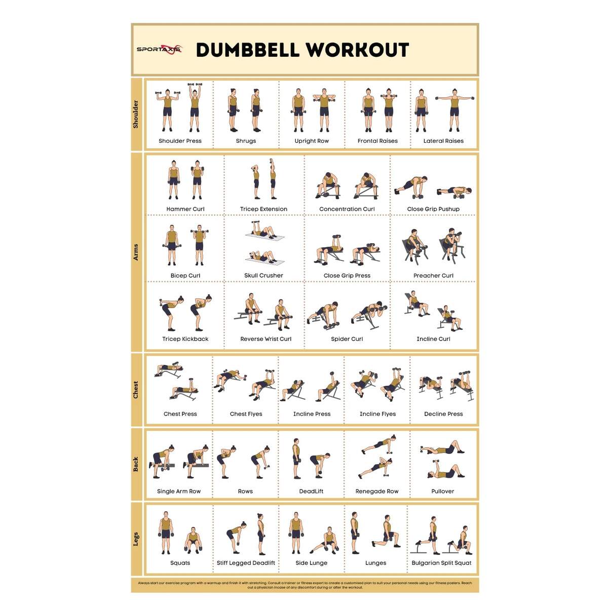 Pdf Dumbbell Workout Bench Workout Chart Full Body Workout With Bench And Dumbbells Dumbbell