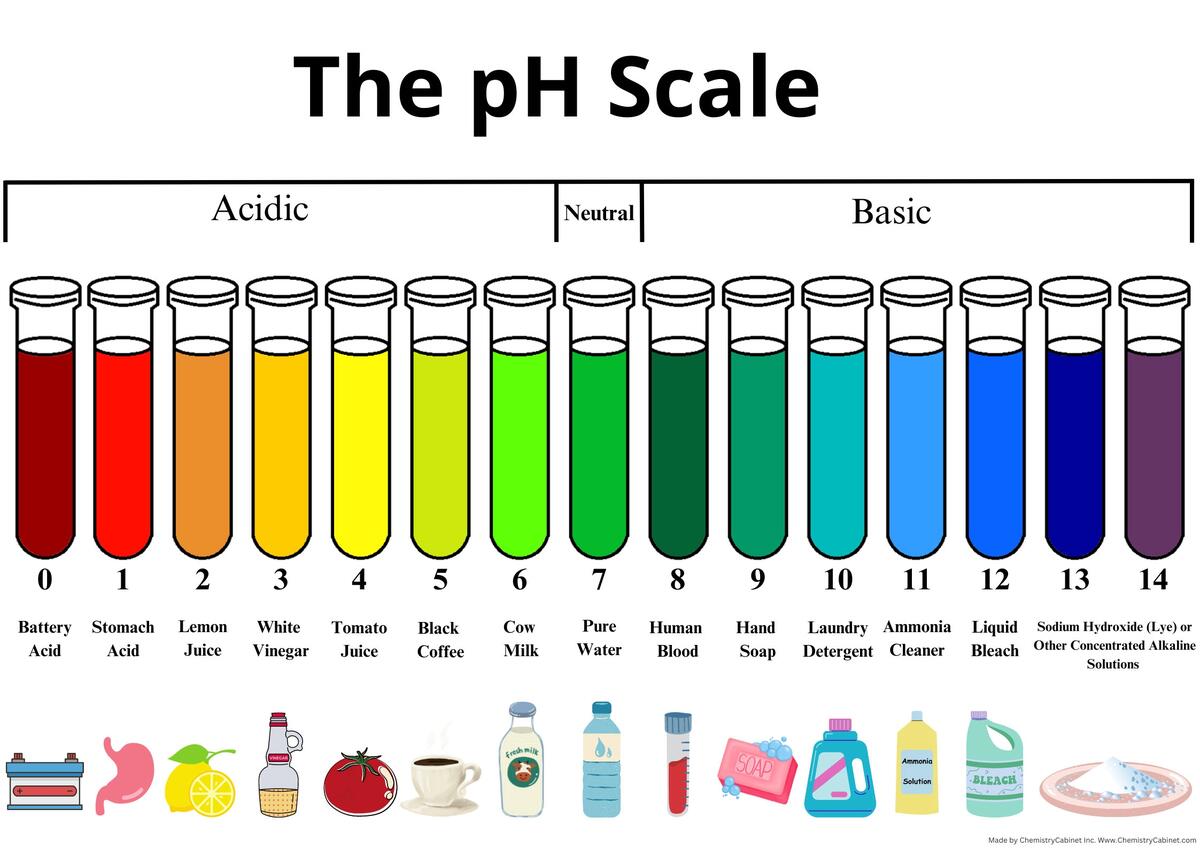Ph Scale Etsy Sweden Ph Scale Etsy Sweden