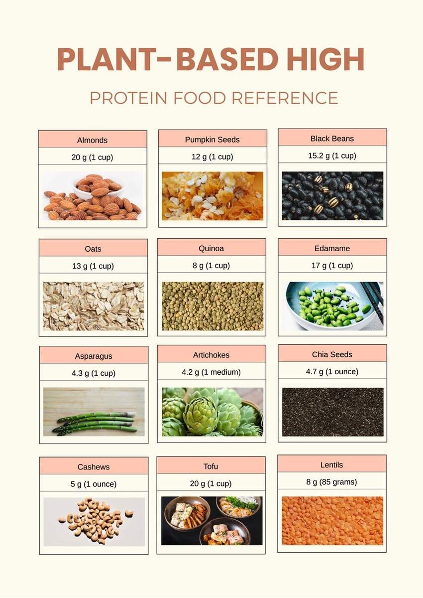 Plant Based High Protein Foods Reference Chart In Illustrator PDF Download Template Plant Based High Protein Foods Reference Chart In Illustrator PDF Download Template