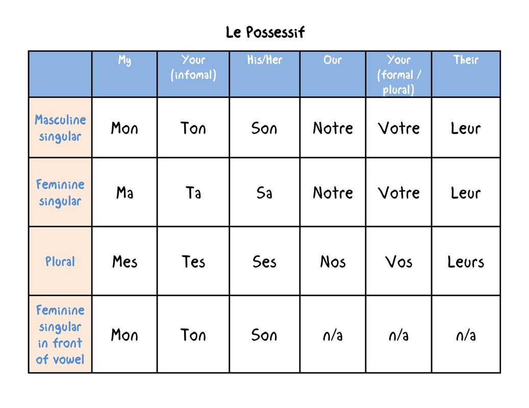 The Key To Understanding Possessive Adjectives In French