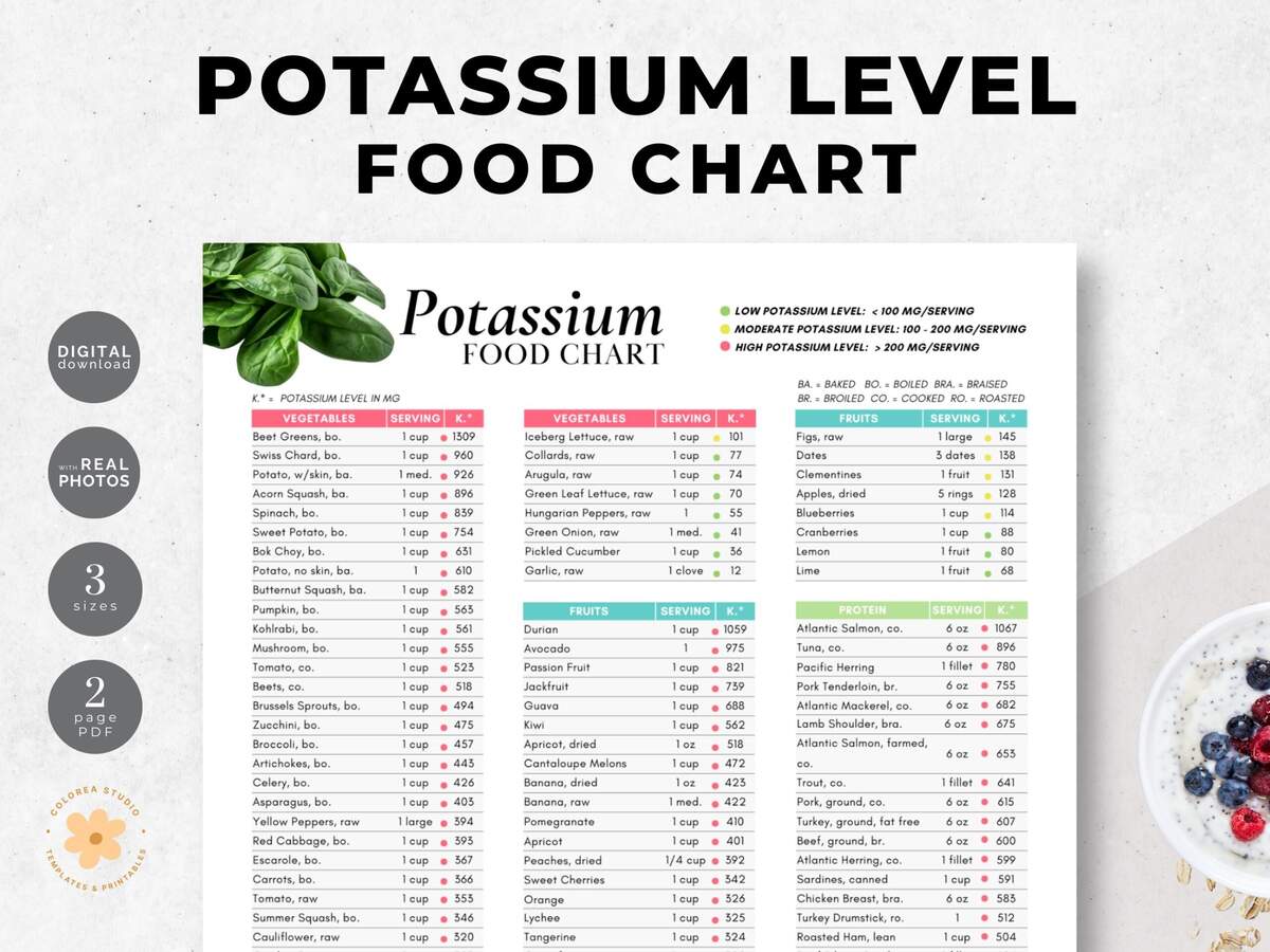 Potassium Food Chart High Low Levels Nutritionist Handout Lead Magnet 2 Page PDF Etsy