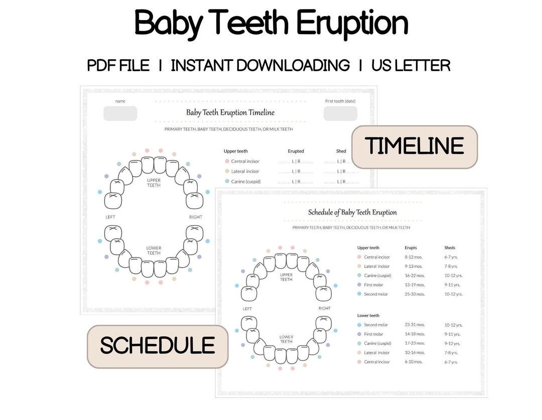 Printable Baby Teething Chart Baby Tooth Eruption Record Baby Tooth Tracker Baby Teeth Eruption Timeline Schedule Of Baby Teeth Eruption Etsy