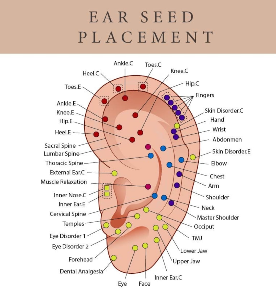 Printable Ear Seed Placement Chart Comprehensive Acupuncture Ear Chart Guide Ear Seeding Chart Helps Place Ear Seeds Cheat Sheet Etsy Printable Ear Seed Placement Chart Comprehensive Acupuncture Ear Chart Guide Ear Seeding Chart Helps Place Ear Seeds Cheat Sheet Etsy