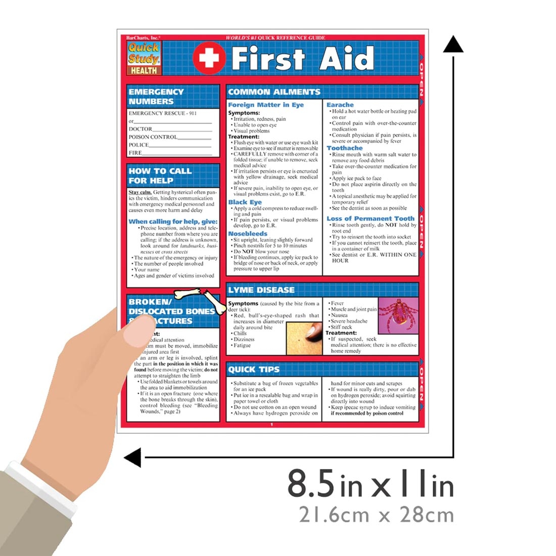 QuickStudy First Aid Laminated Reference Guide Geographia Maps