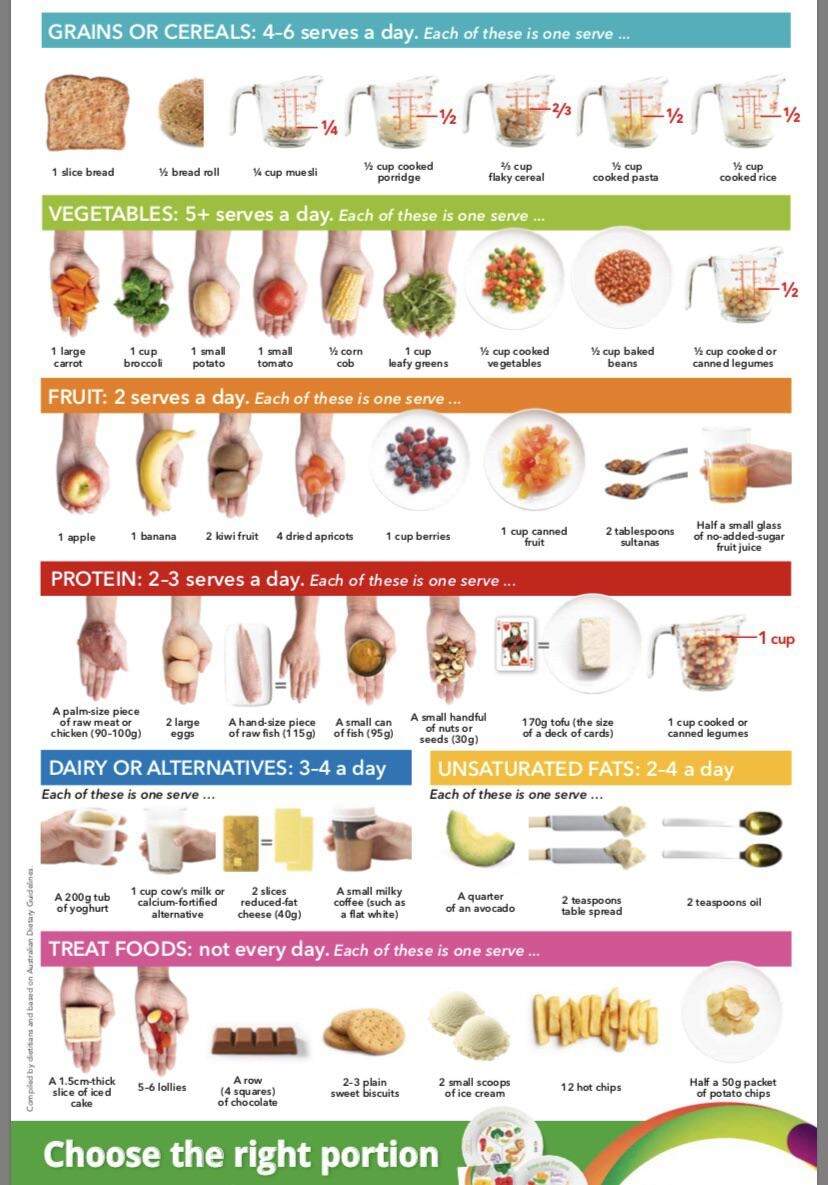 Recommend Daily Intake And Handy Portion Size Guide R Coolguides Recommend Daily Intake And Handy Portion Size Guide R Coolguides