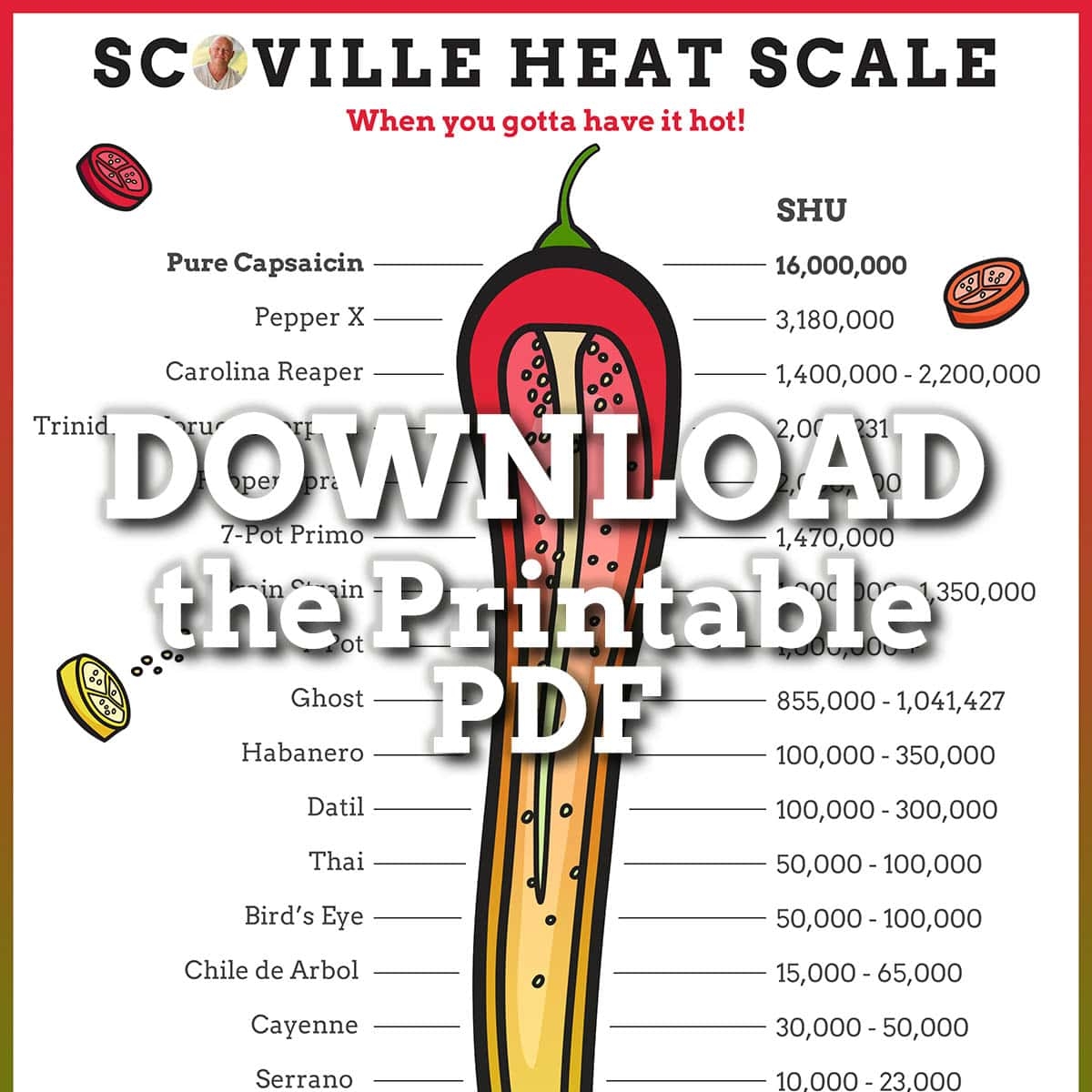 The Scoville Scale Chili Pepper Madness