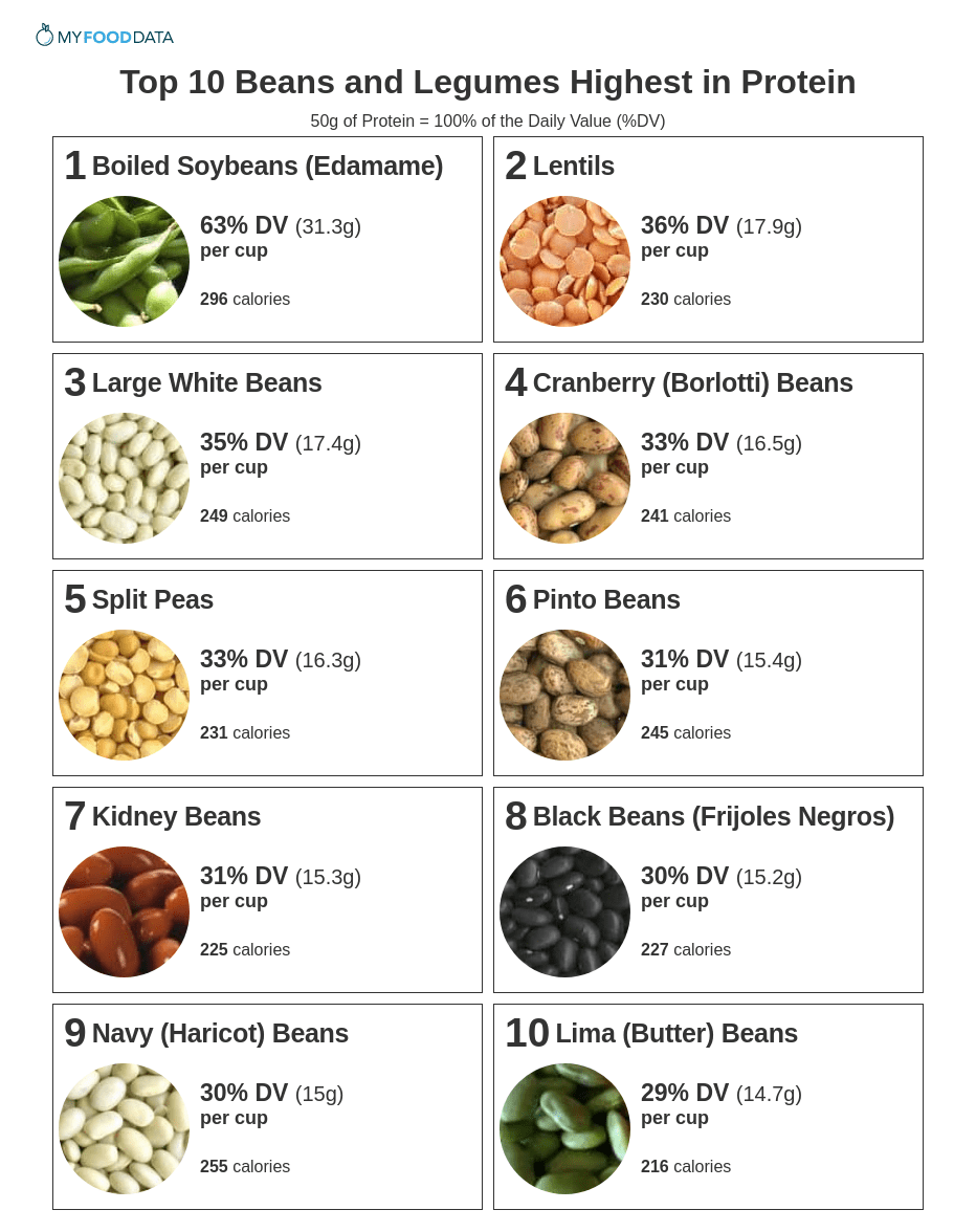 Top 10 Beans And Legumes Highest In Protein Top 10 Beans And Legumes Highest In Protein