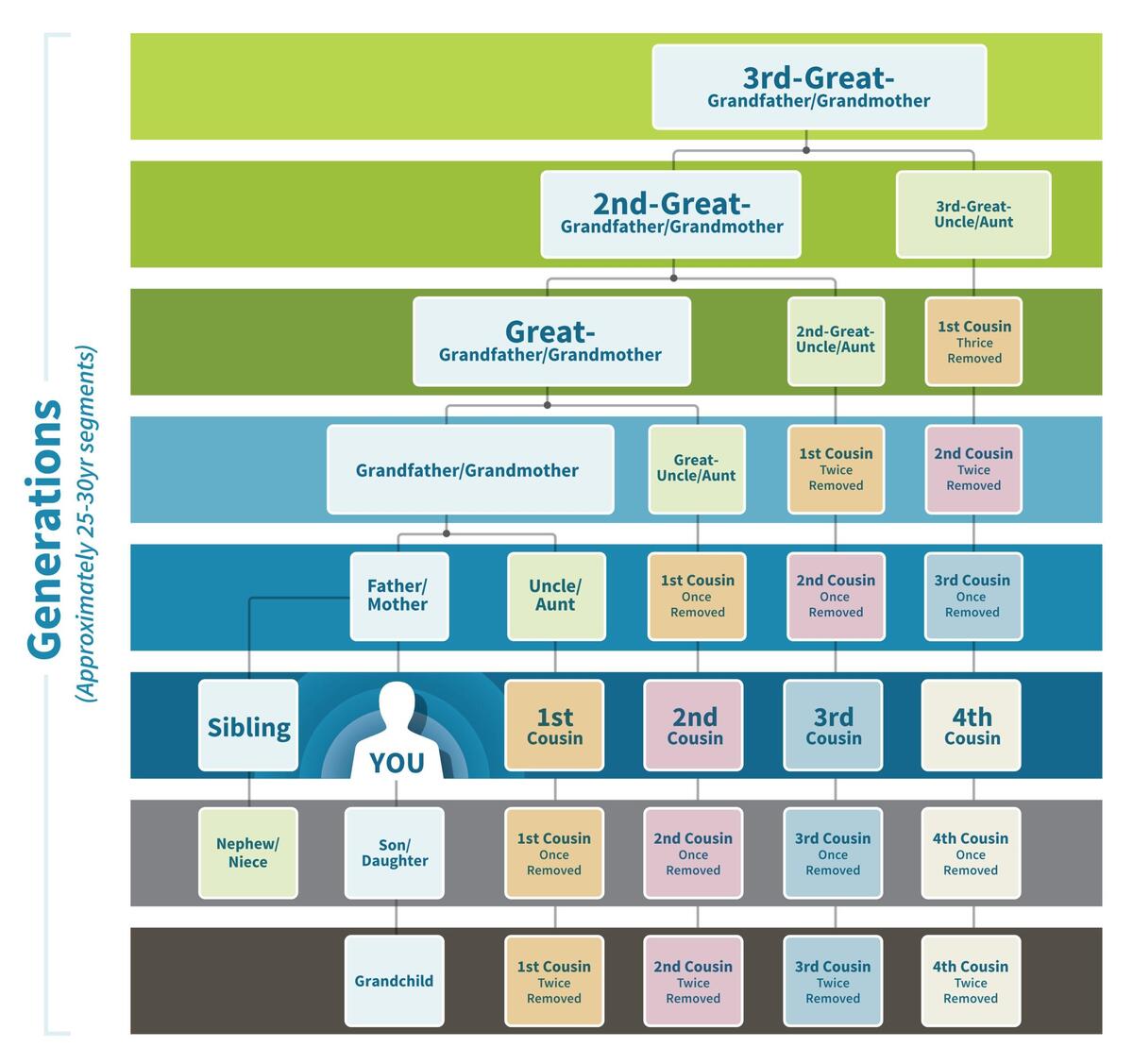 Uncover Your Ancestral Roots A Guide To Family Relationship Charts