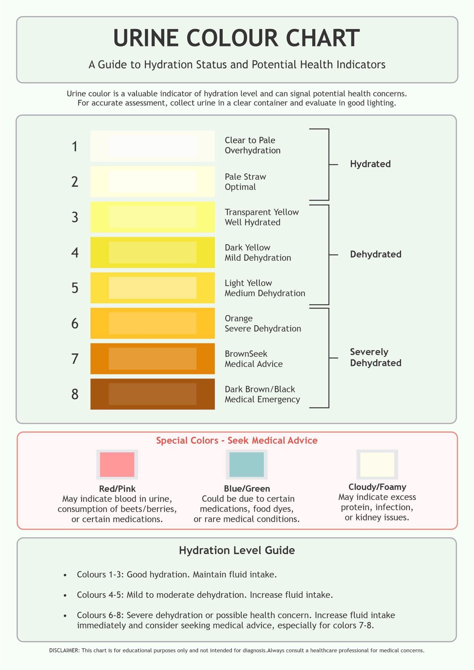 Urine Color Dehydration Urine Color Chart Vector Illustration Stock Vector Adobe Stock