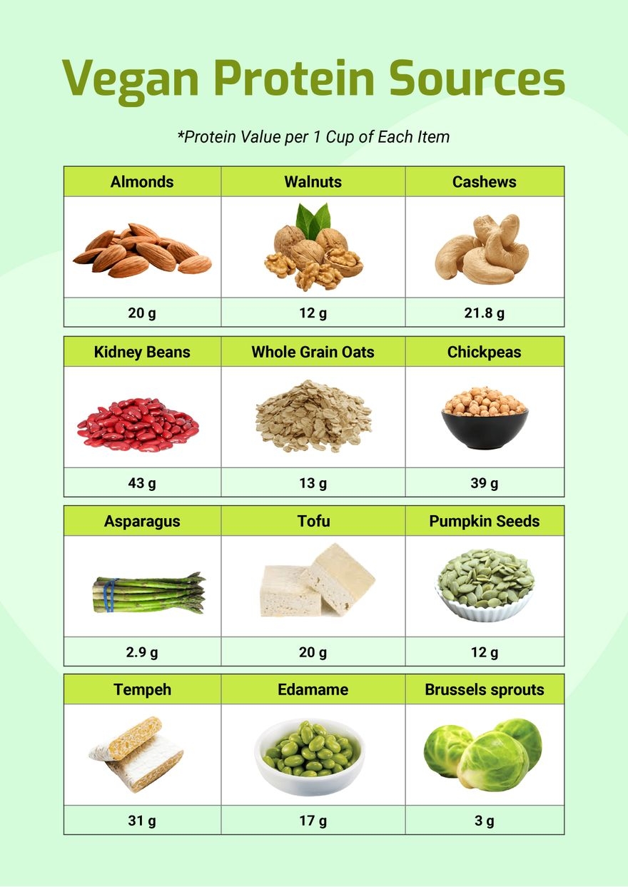 Vegan Protein Sources Chart In Illustrator PDF Download Template Vegan Protein Sources Chart In Illustrator PDF Download Template