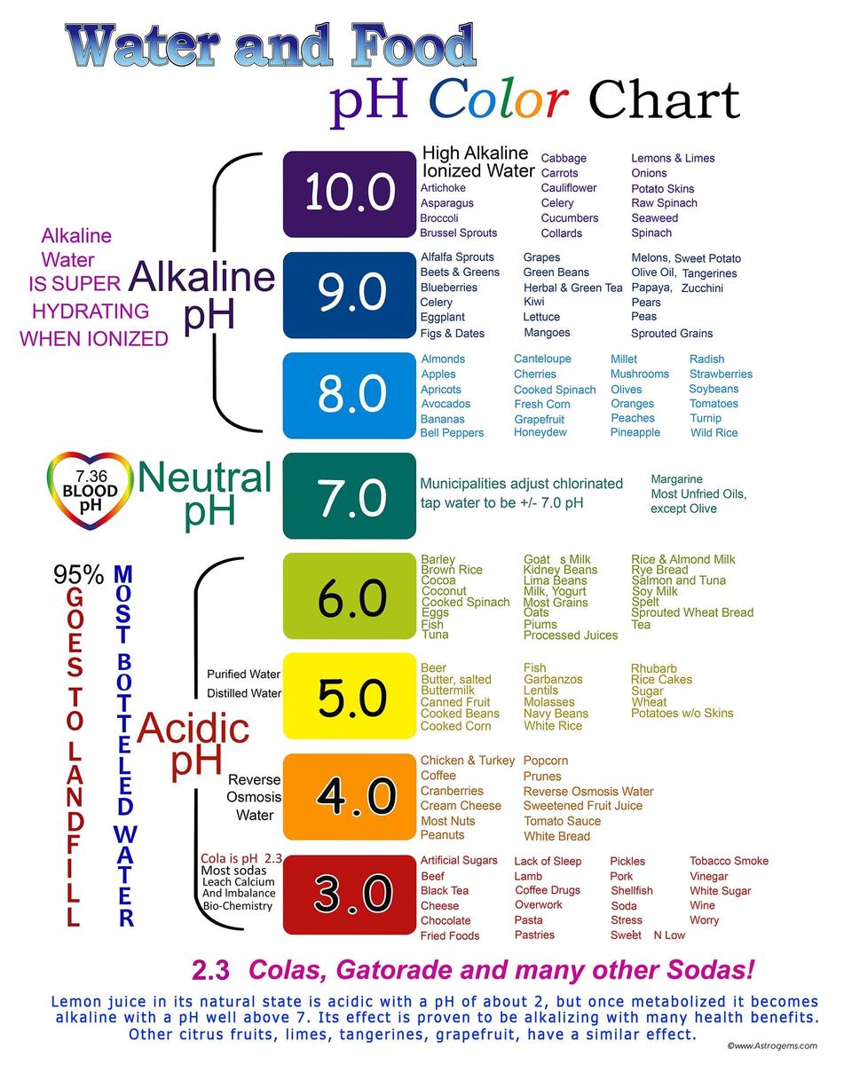 Water And Food Ph Color Chart Etsy New Zealand Ph Scale Etsy Sweden