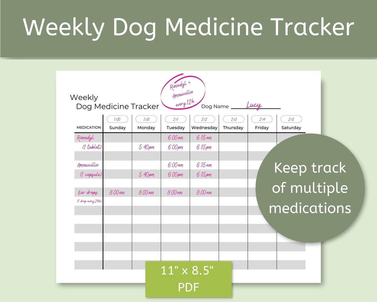 Pet Medication Planner PDSA