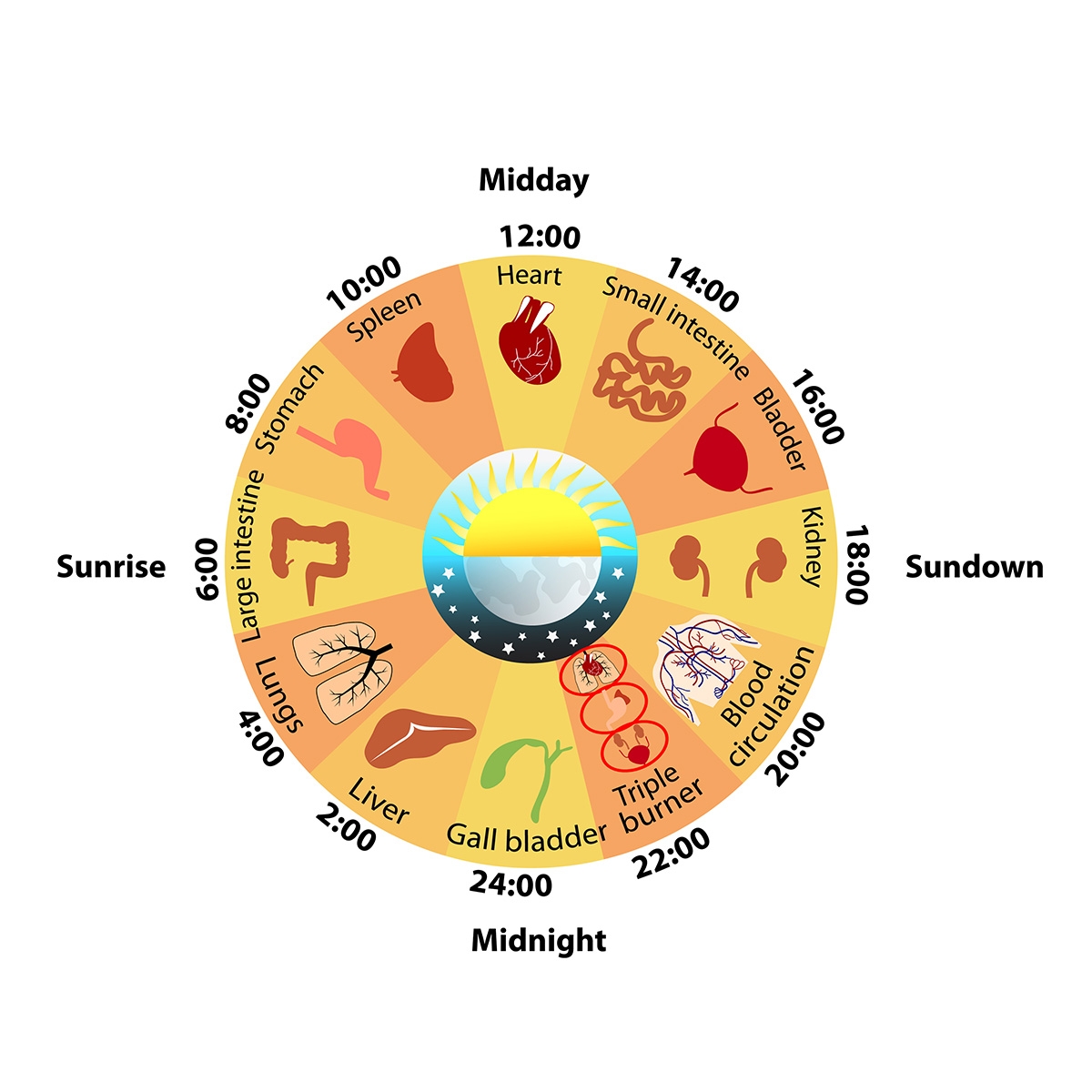 What Is Global Atmospheric Circulation Internet Geography