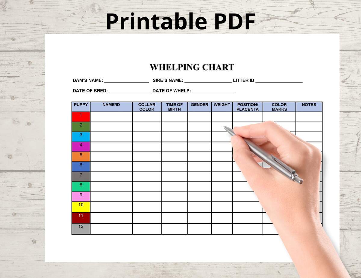 Whelping Chart Editable Whelping Record Puppy Whelping Breeder Forms Printable PDF Instant Download Etsy