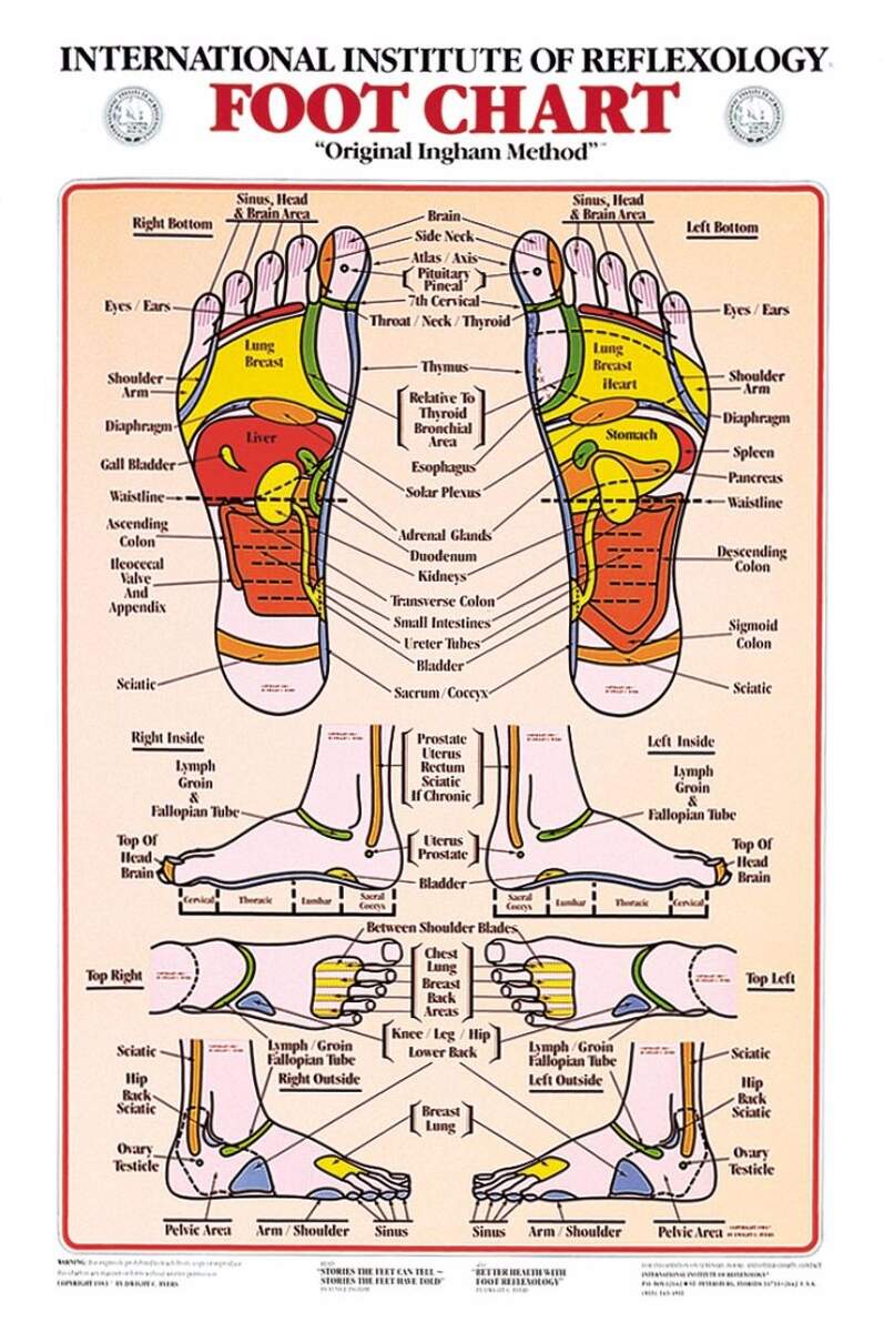 31 Printable Foot Reflexology Charts Maps TemplateLab Amazon Lashicorn Reflexology Chart For Hand And Foot 50 Pack 2 X 3 5 Inches Business Sized Card Reflexology Massage Acupressure Body Treatment Health Household
