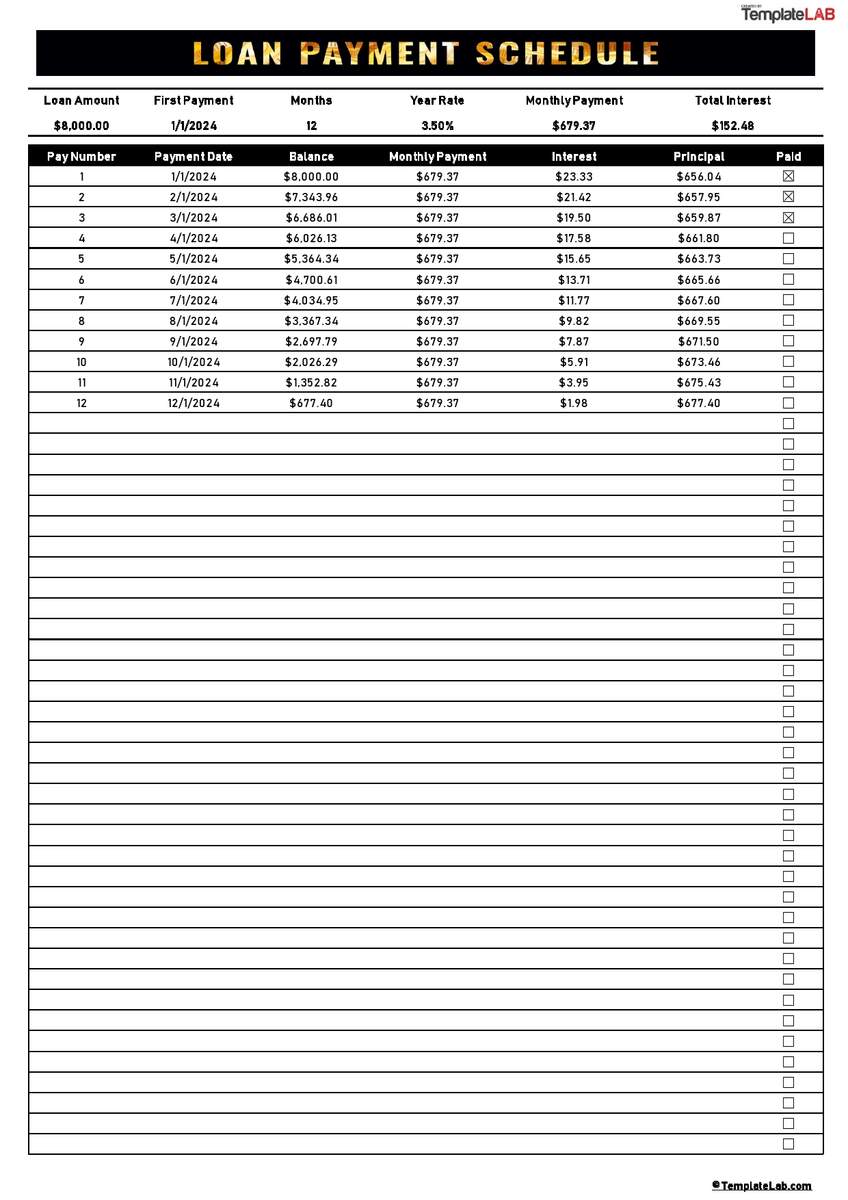 52 Free Payment Schedule Templates Excel Word TemplateLab