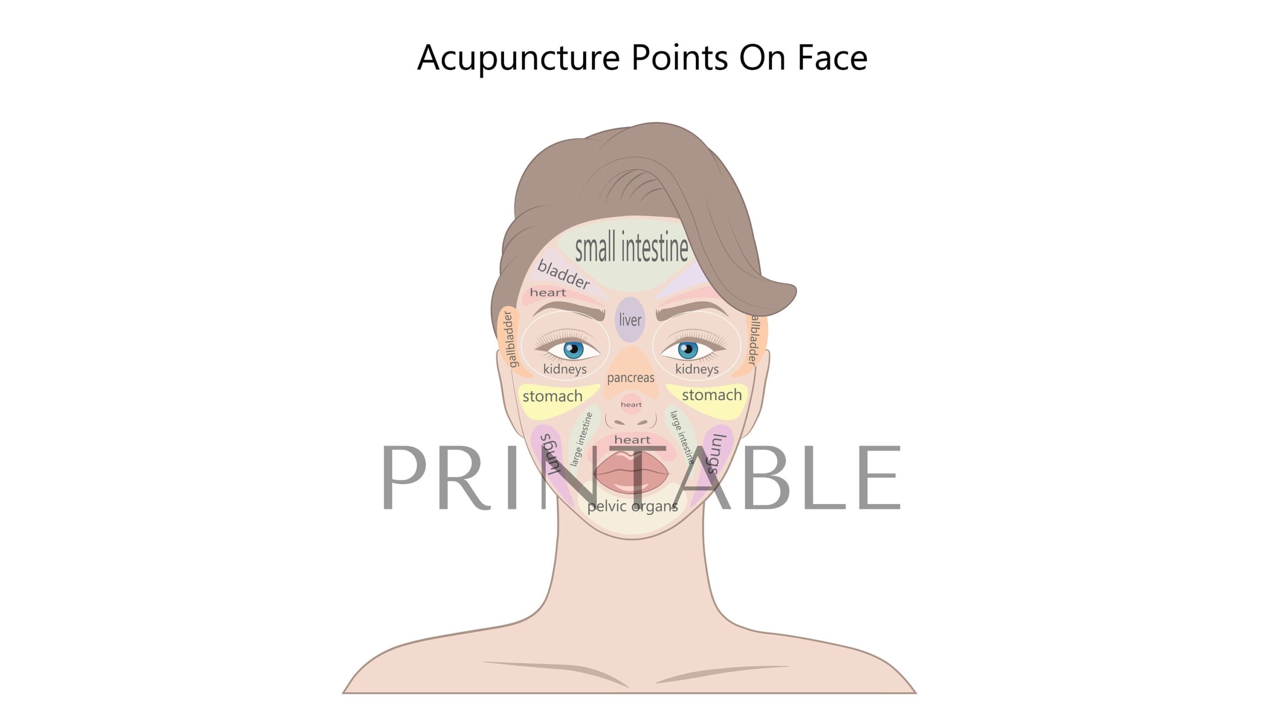Acupuncture Points On Face Chart Chinese Medicine Art Digital Download Etsy Israel