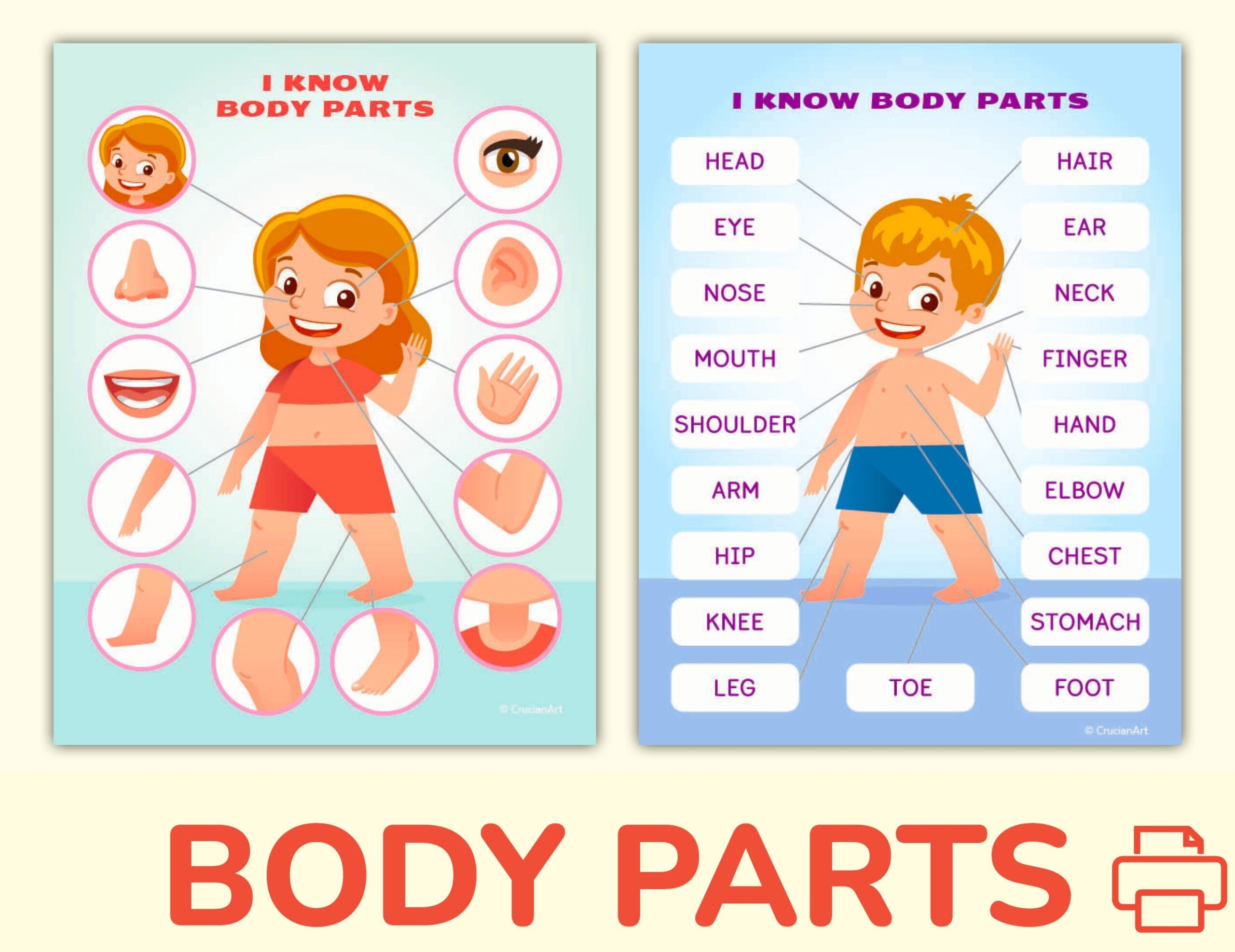 Body And Face Parts Printable Learning Pack For Toddler Preschool Pre K Kindergarten Human Body Activity Worksheets Etsy