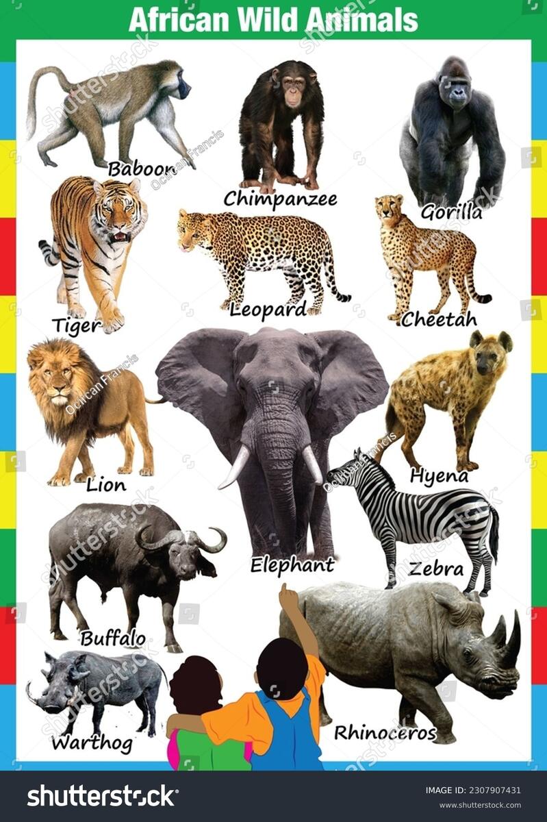 Captivating Printable Animal Chart Adorn Your Stock Illustration 2307907431 Shutterstock