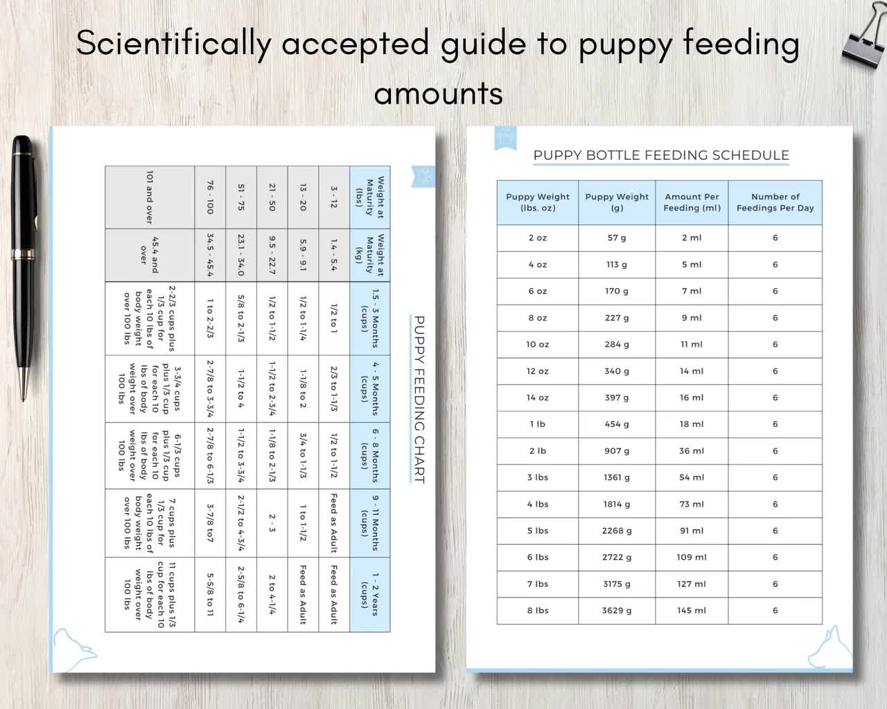 How Much Food Should I Feed My Dog Chewy