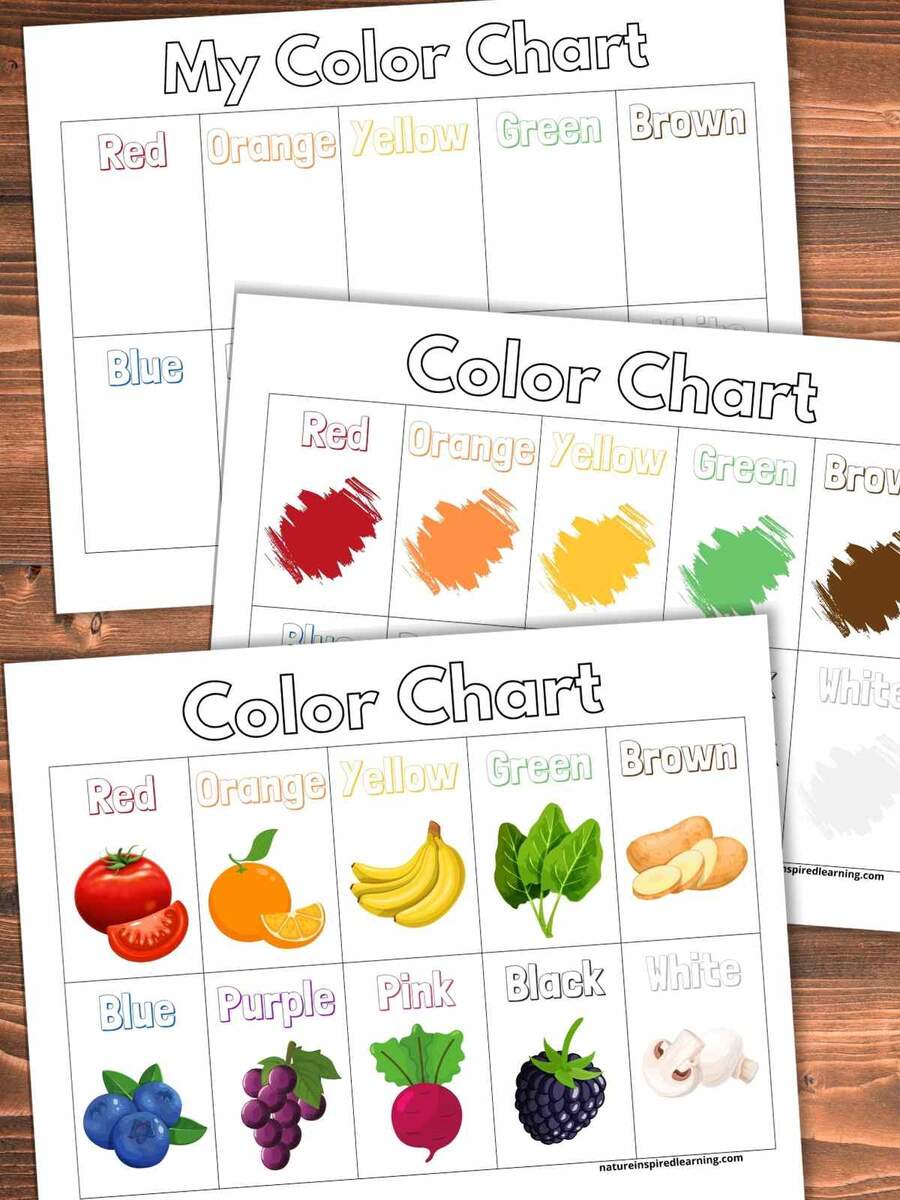 Instant Download Toddler Printable Color Chart By Kateferreros Raket PH