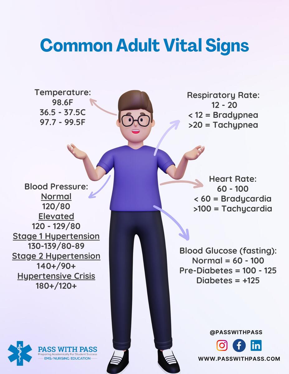 Common Normal Adult Vital Signs Reference Chart Etsy Finland